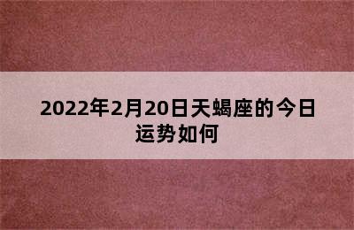 2022年2月20日天蝎座的今日运势如何