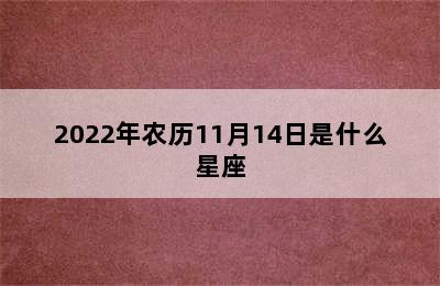 2022年农历11月14日是什么星座