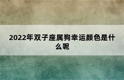 2022年双子座属狗幸运颜色是什么呢