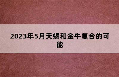 2023年5月天蝎和金牛复合的可能