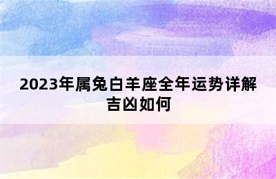 2023年属兔白羊座全年运势详解吉凶如何