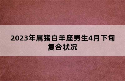 2023年属猪白羊座男生4月下旬复合状况