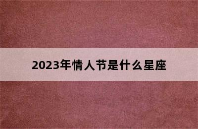 2023年情人节是什么星座