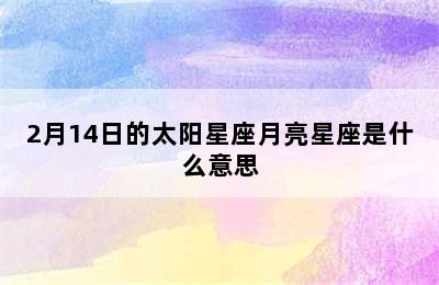 2月14日的太阳星座月亮星座是什么意思