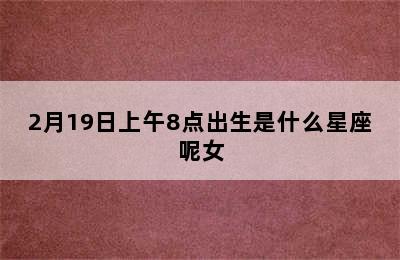 2月19日上午8点出生是什么星座呢女