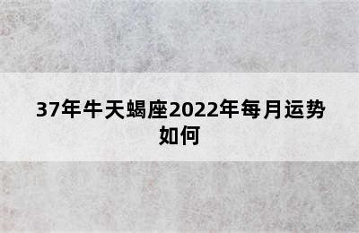 37年牛天蝎座2022年每月运势如何