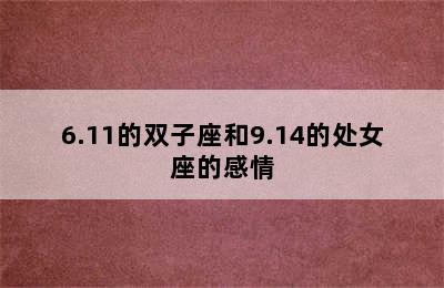 6.11的双子座和9.14的处女座的感情