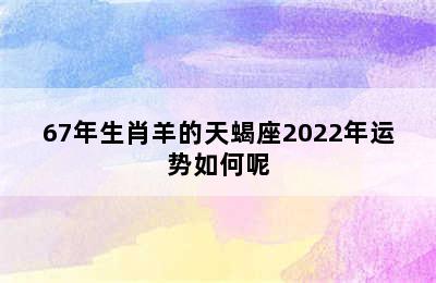 67年生肖羊的天蝎座2022年运势如何呢