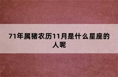 71年属猪农历11月是什么星座的人呢