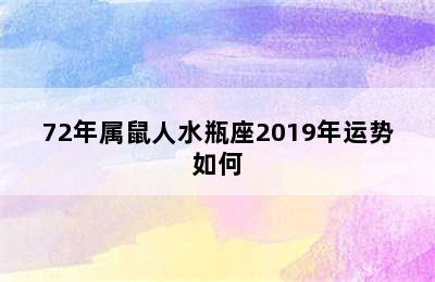 72年属鼠人水瓶座2019年运势如何