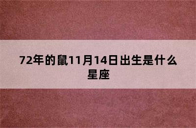 72年的鼠11月14日出生是什么星座