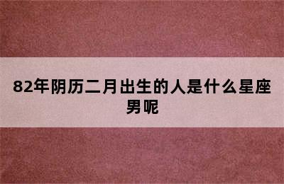 82年阴历二月出生的人是什么星座男呢