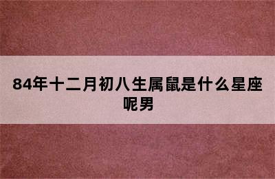 84年十二月初八生属鼠是什么星座呢男