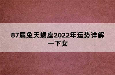 87属兔天蝎座2022年运势详解一下女