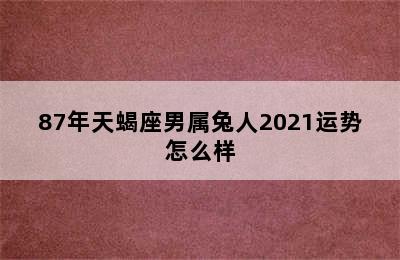 87年天蝎座男属兔人2021运势怎么样