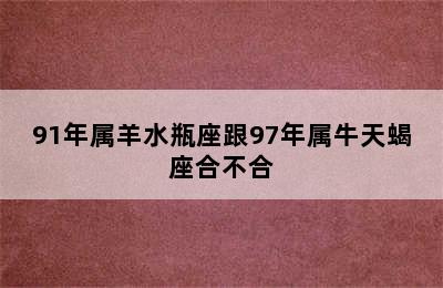 91年属羊水瓶座跟97年属牛天蝎座合不合