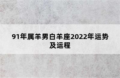 91年属羊男白羊座2022年运势及运程