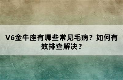 V6金牛座有哪些常见毛病？如何有效排查解决？