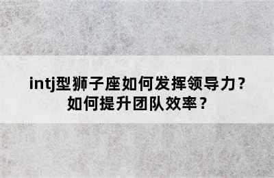 intj型狮子座如何发挥领导力？如何提升团队效率？
