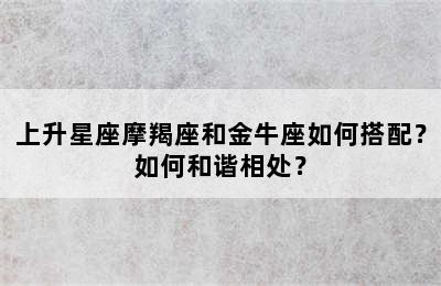 上升星座摩羯座和金牛座如何搭配？如何和谐相处？