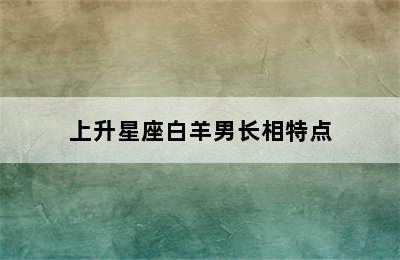 上升星座白羊男长相特点