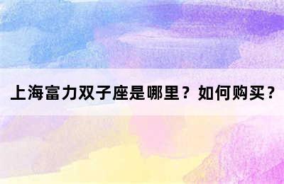 上海富力双子座是哪里？如何购买？