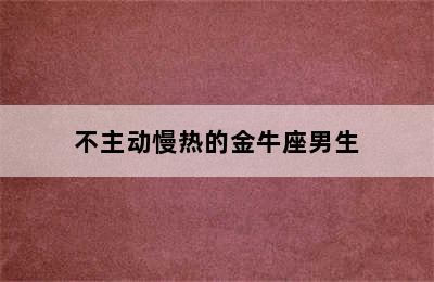 不主动慢热的金牛座男生