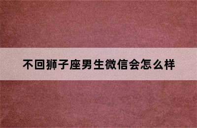 不回狮子座男生微信会怎么样