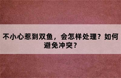 不小心惹到双鱼，会怎样处理？如何避免冲突？