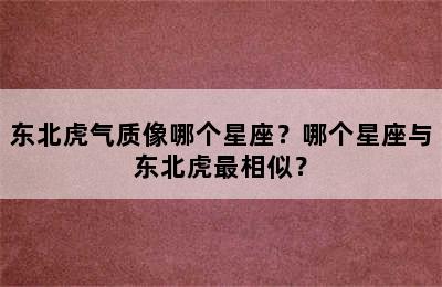 东北虎气质像哪个星座？哪个星座与东北虎最相似？