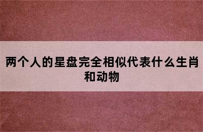 两个人的星盘完全相似代表什么生肖和动物