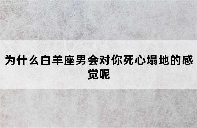 为什么白羊座男会对你死心塌地的感觉呢