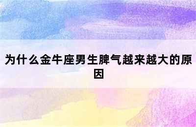 为什么金牛座男生脾气越来越大的原因