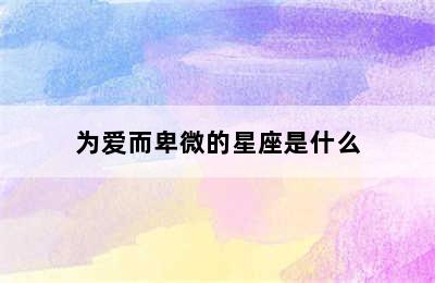 为爱而卑微的星座是什么