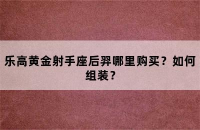 乐高黄金射手座后羿哪里购买？如何组装？