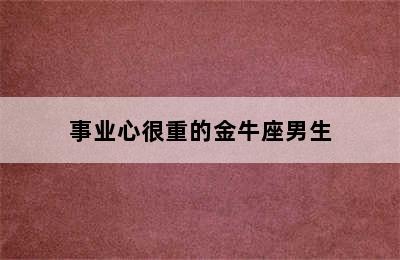 事业心很重的金牛座男生