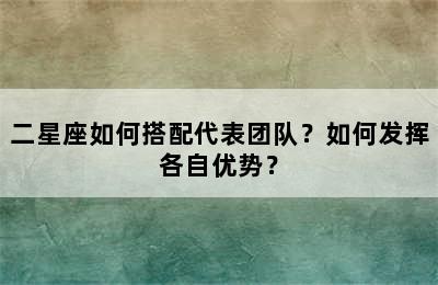 二星座如何搭配代表团队？如何发挥各自优势？