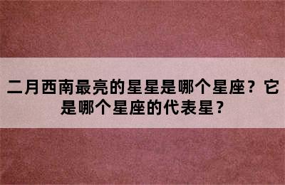 二月西南最亮的星星是哪个星座？它是哪个星座的代表星？