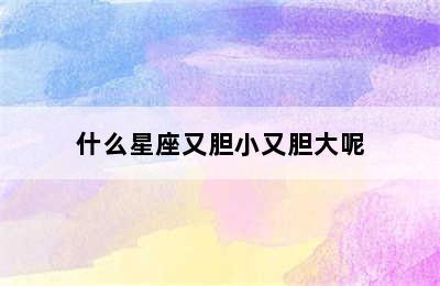 什么星座又胆小又胆大呢