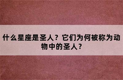 什么星座是圣人？它们为何被称为动物中的圣人？