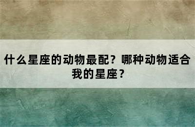 什么星座的动物最配？哪种动物适合我的星座？