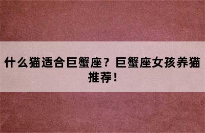 什么猫适合巨蟹座？巨蟹座女孩养猫推荐！