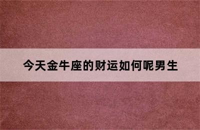 今天金牛座的财运如何呢男生