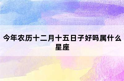 今年农历十二月十五日子好吗属什么星座