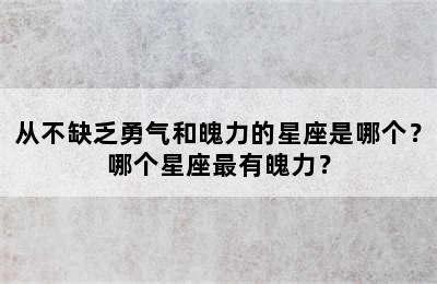 从不缺乏勇气和魄力的星座是哪个？哪个星座最有魄力？