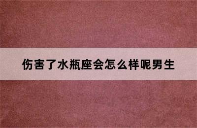 伤害了水瓶座会怎么样呢男生