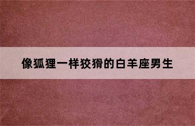 像狐狸一样狡猾的白羊座男生