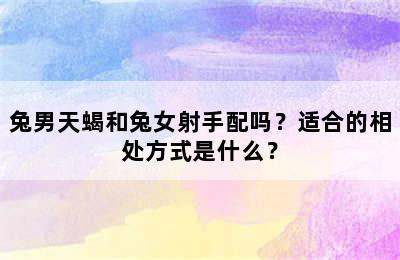 兔男天蝎和兔女射手配吗？适合的相处方式是什么？