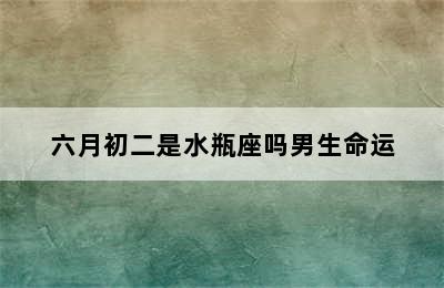 六月初二是水瓶座吗男生命运