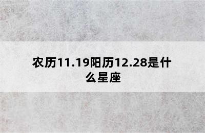 农历11.19阳历12.28是什么星座